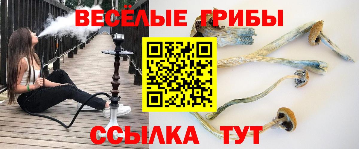 Галлюциногенные грибы прущие грибы  Вход с VPN  Чапаевск 